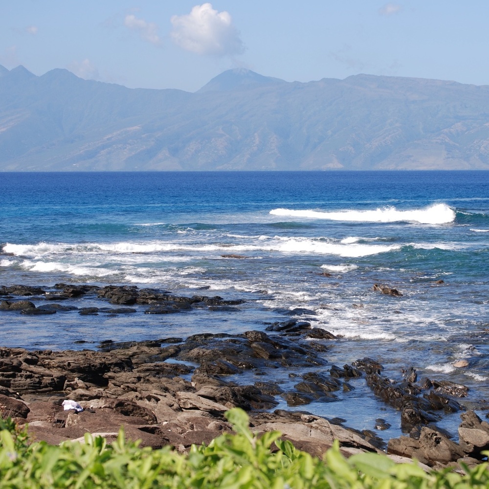 Meet your Posher, Steven a.